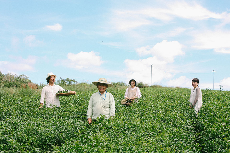 たつみ茶園 家族経営の茶園