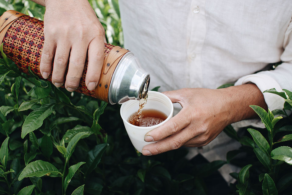 たつみ茶園 夏のほうじ茶